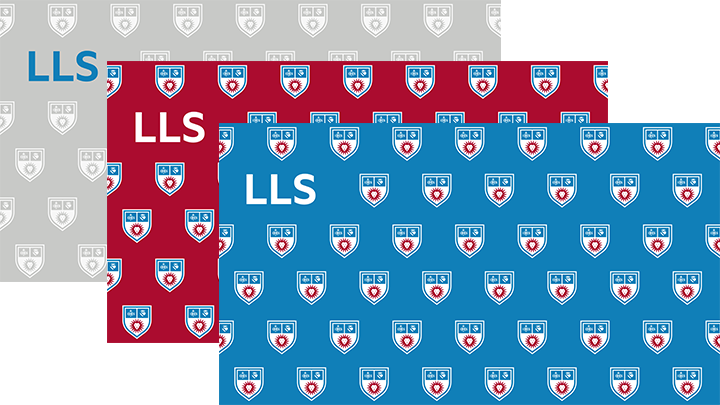 LLS Primary Mark Step and Repeat Series